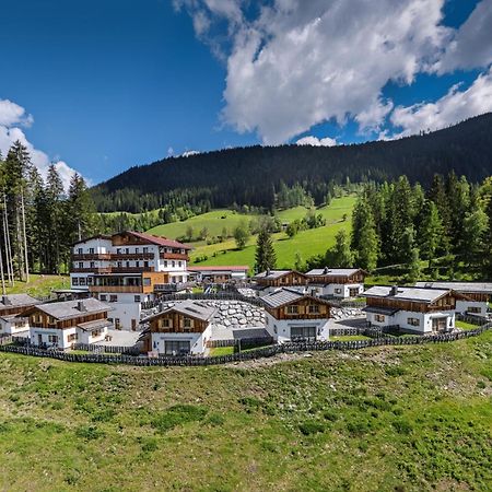 Das Eulersberg Apartments & Chalets Werfenweng Εξωτερικό φωτογραφία