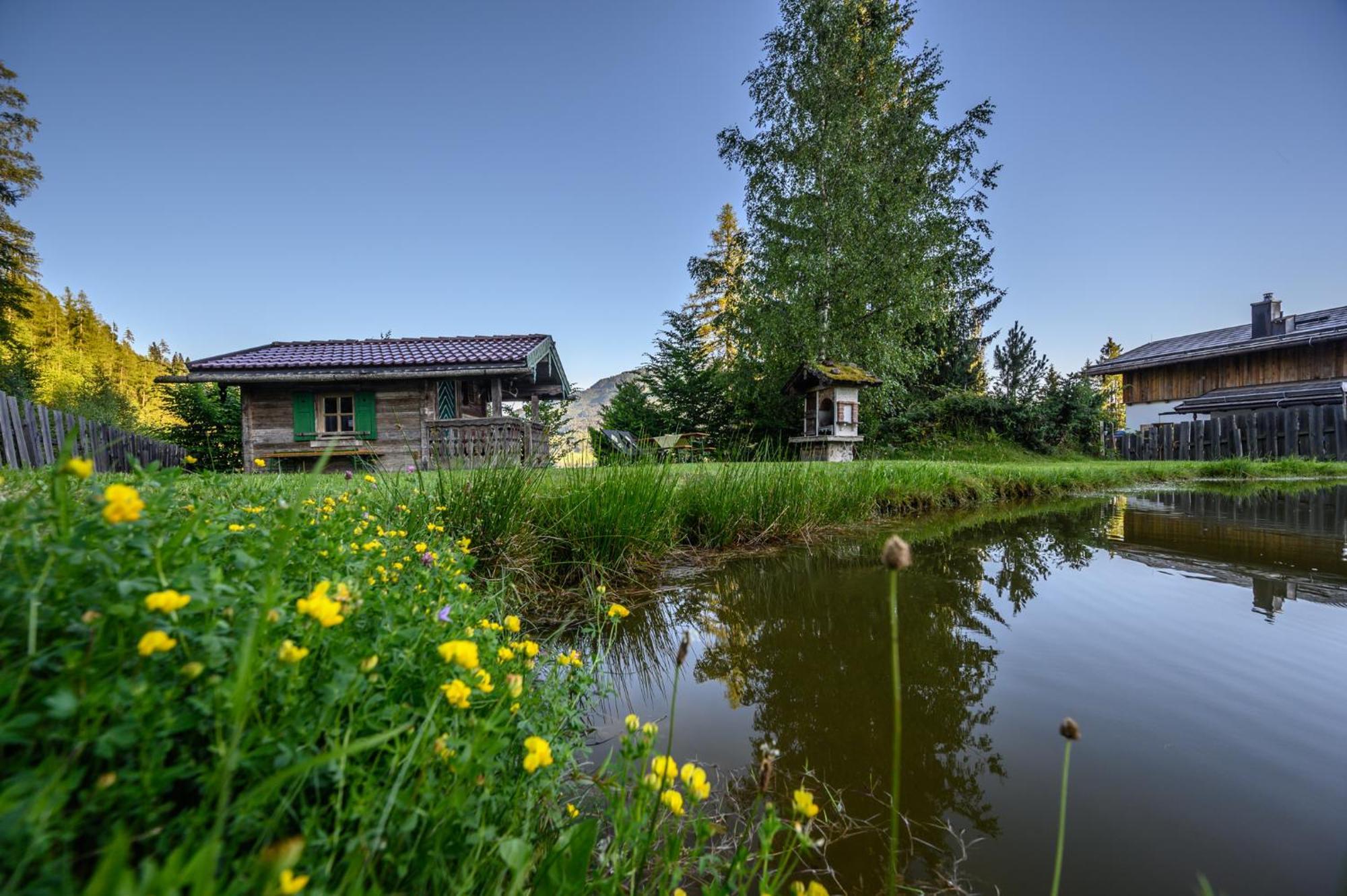 Das Eulersberg Apartments & Chalets Werfenweng Εξωτερικό φωτογραφία